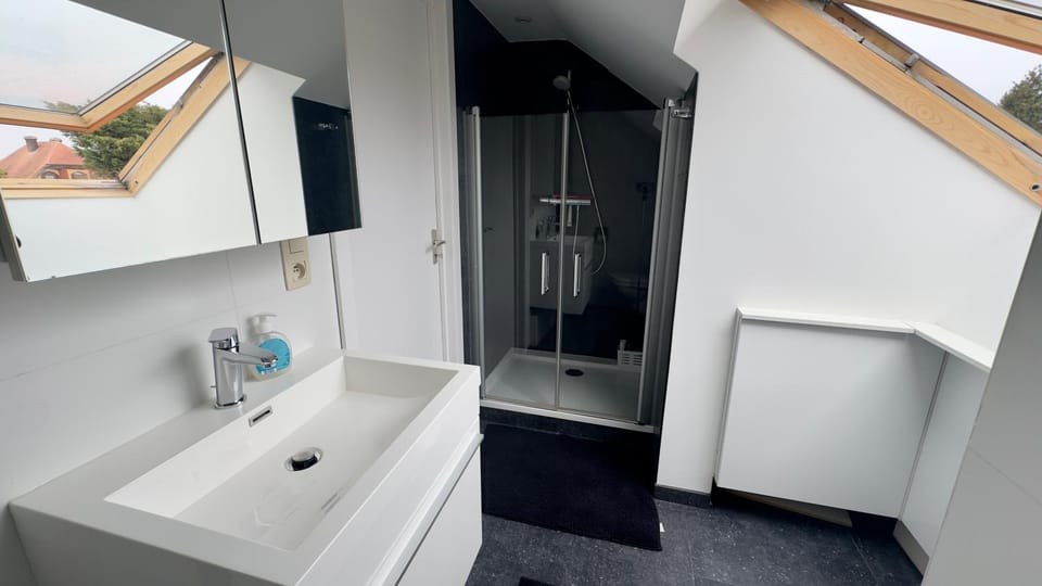 House with 5 bedrooms near Brussels House in Flanders