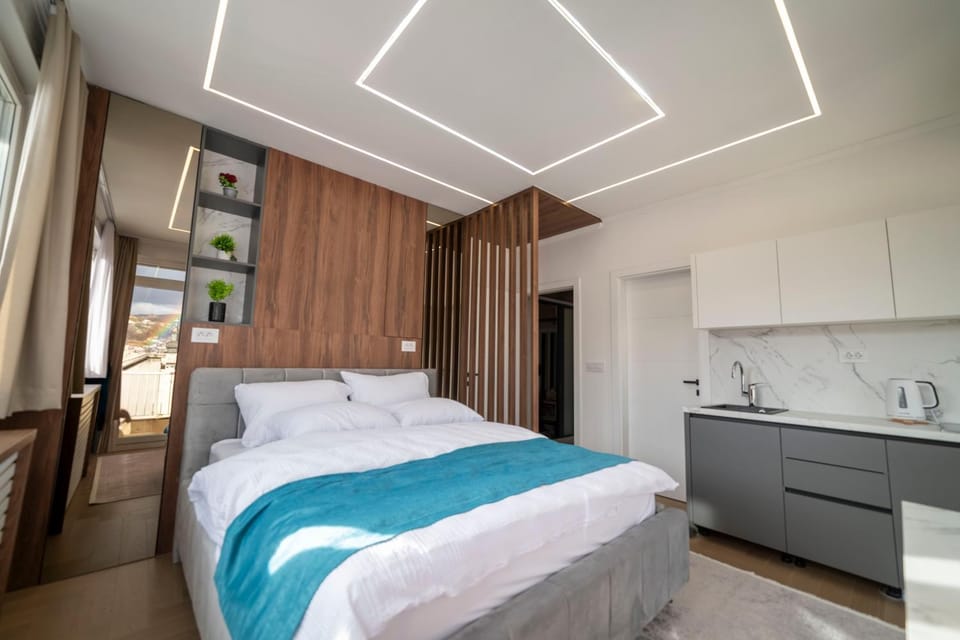 Bed, Kitchen or kitchenette, Photo of the whole room