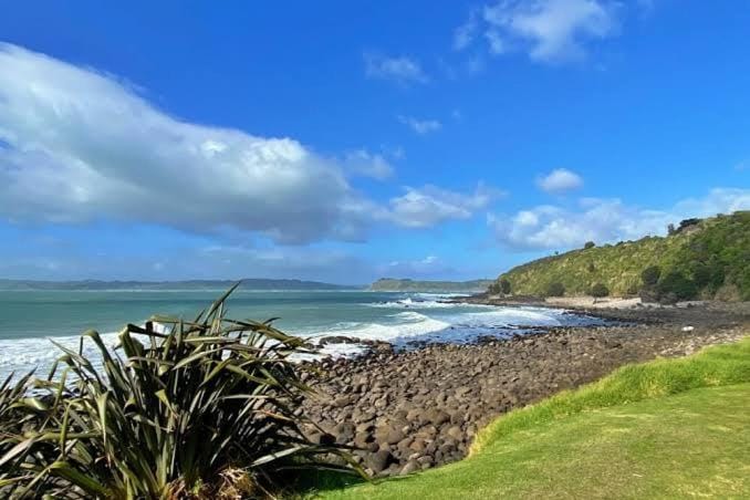 The Dream Whale Bay Apartment in Raglan