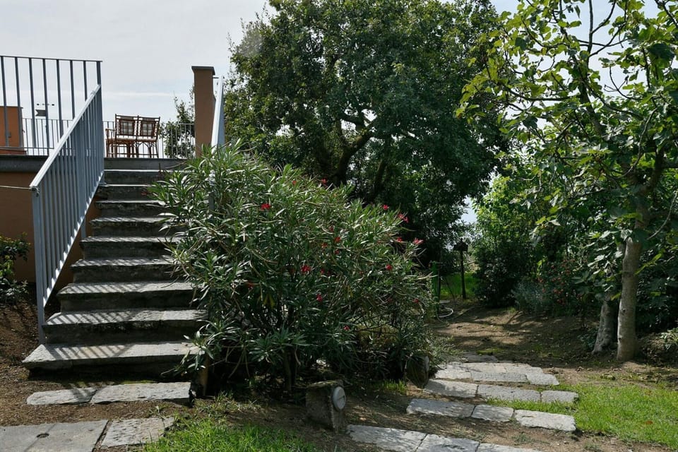 Property building, Spring, Activities, Summer, Garden, Other, Swimming pool