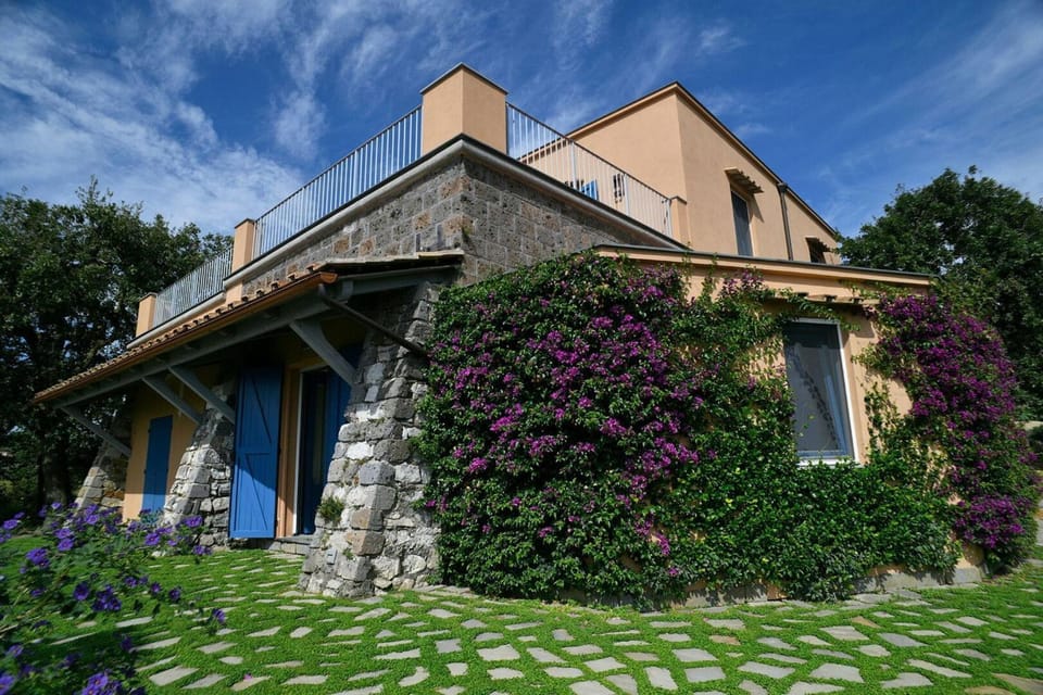 Property building, Spring, Activities, Summer, Garden, Other, Swimming pool