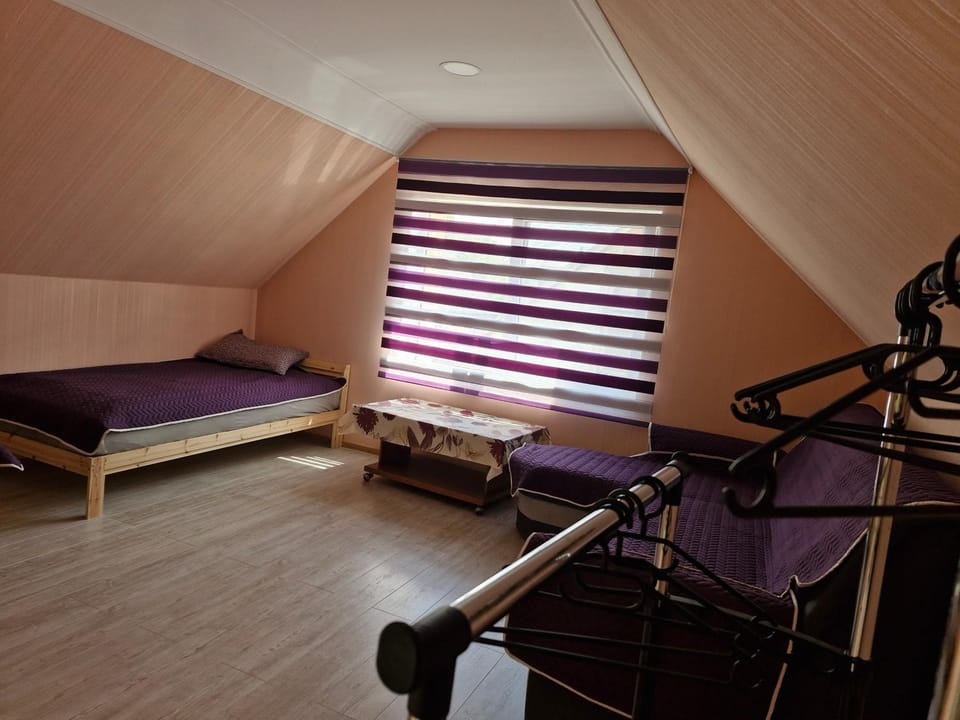 Ozolu street apartment Apartment in Latvia