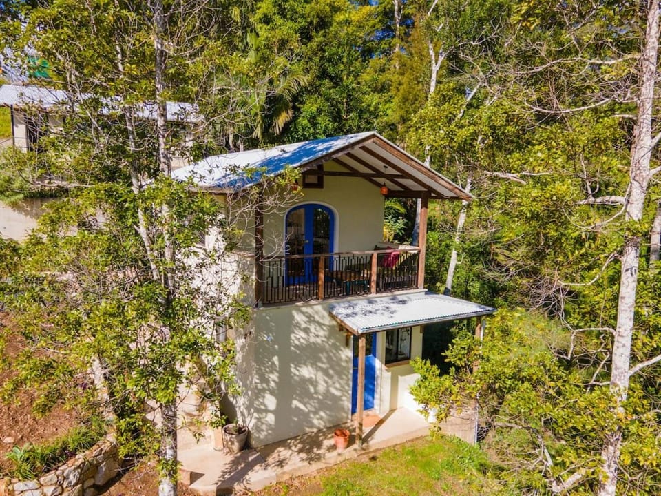 The cabin at the edge of town Cabin in Bellingen