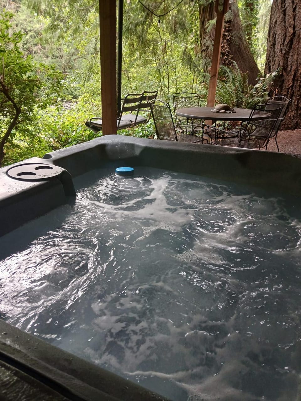Chase's River Cabin - Hot-tub Firepit & Fireplace Cabin in Washington