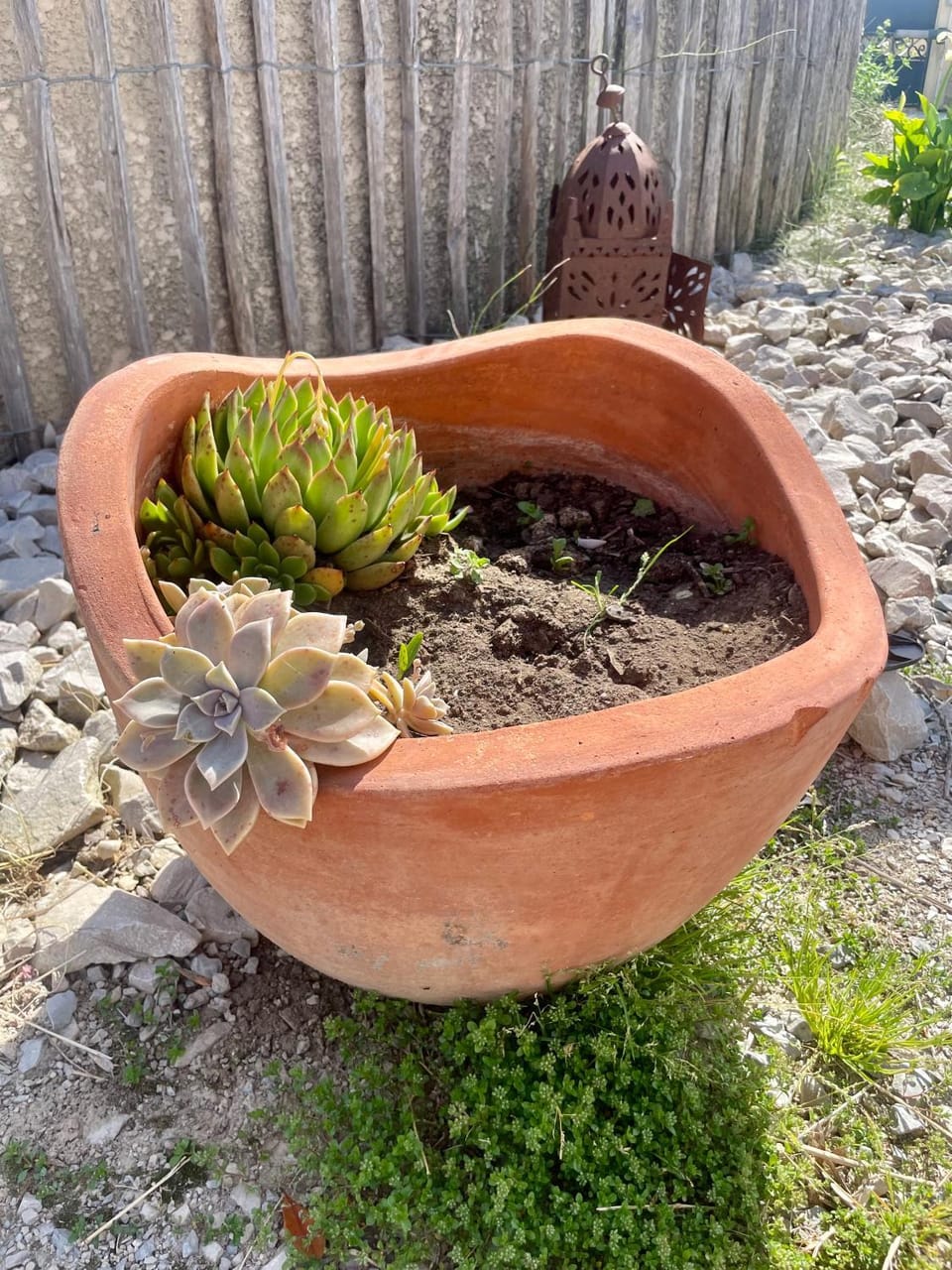Garden, Garden