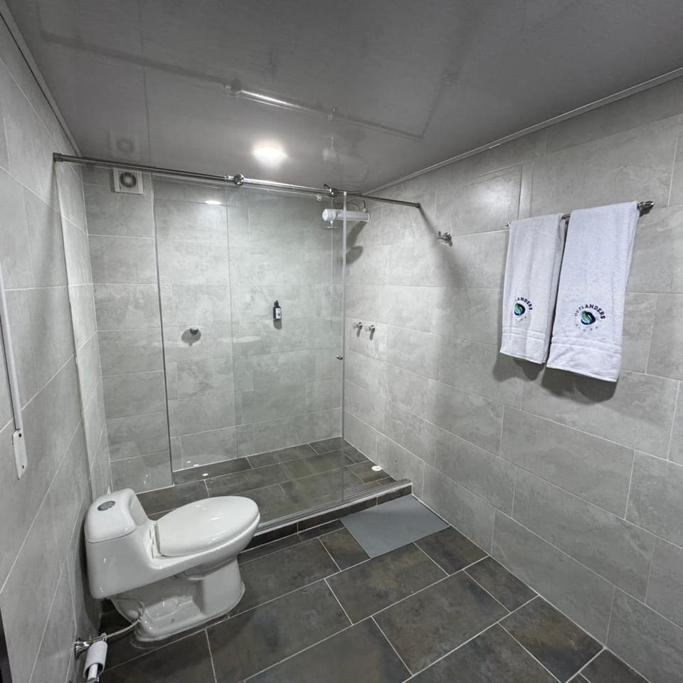 Shower, Toilet, Bathroom, towels