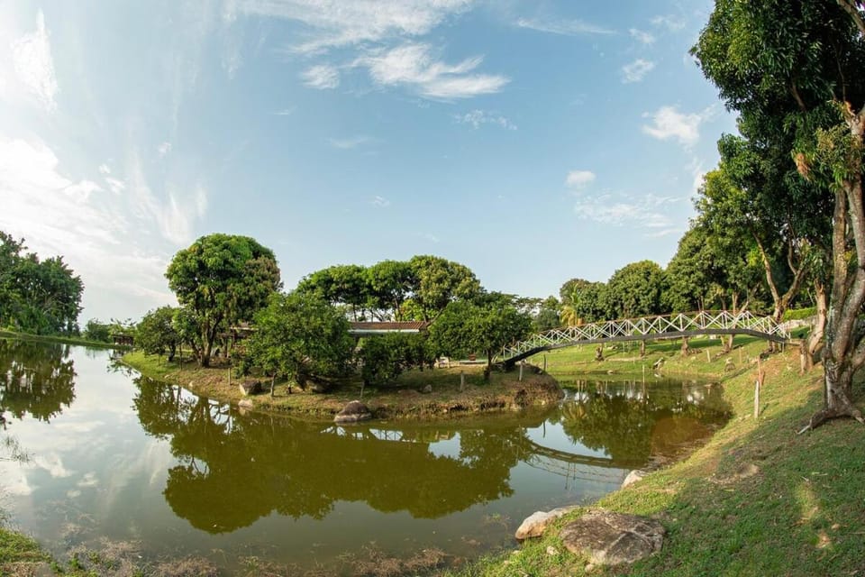 Garden, Lake view