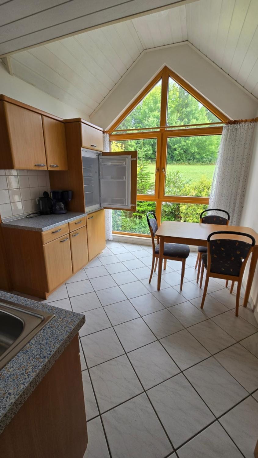 Kitchen or kitchenette, Dining area, stove