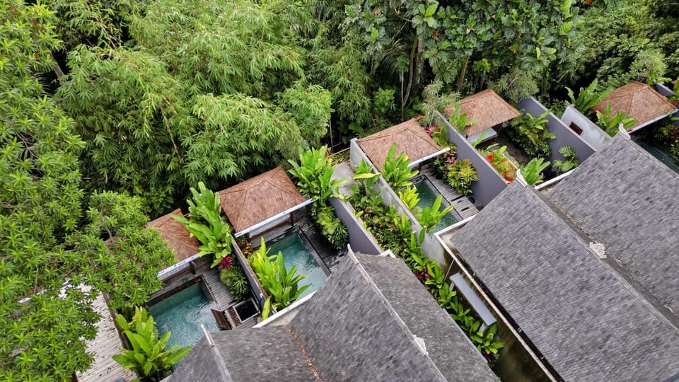 View (from property/room), River view