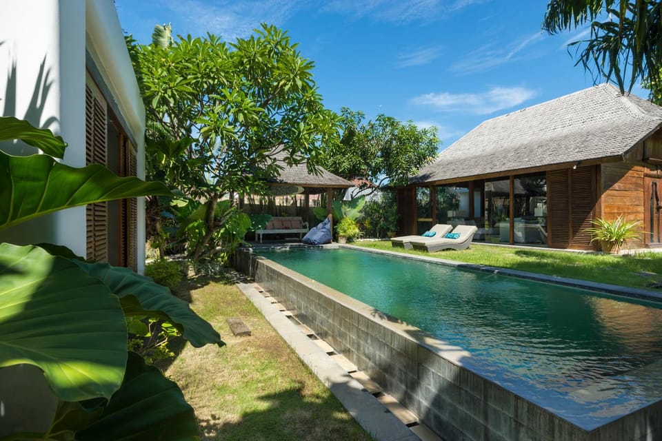 Garden, Garden view, Pool view, Swimming pool, sunbed