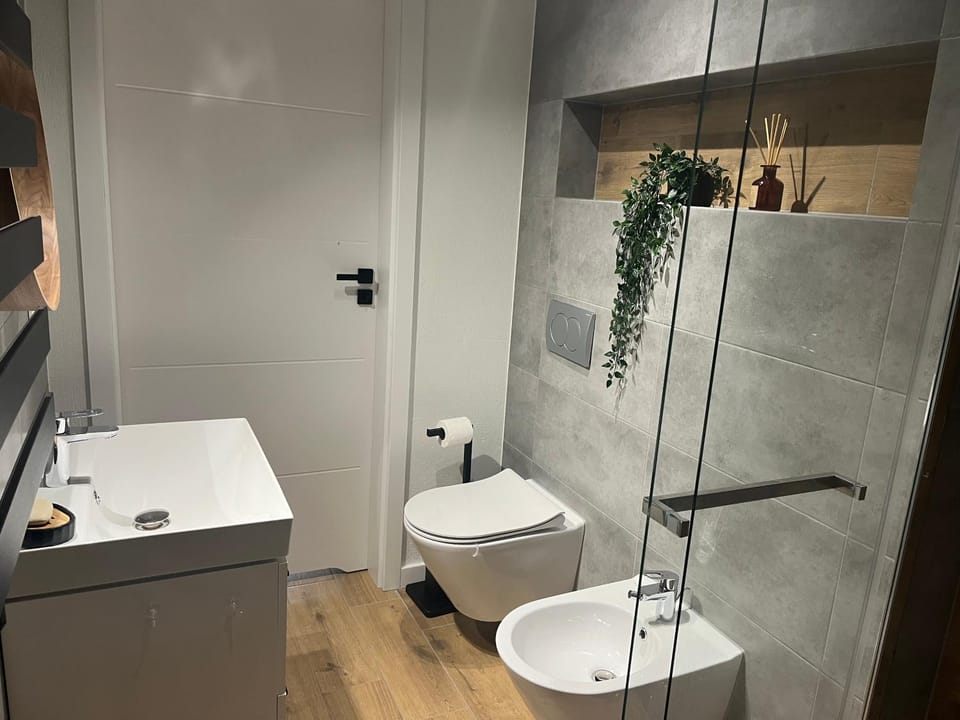 Shower, Toilet, Bathroom, bidet