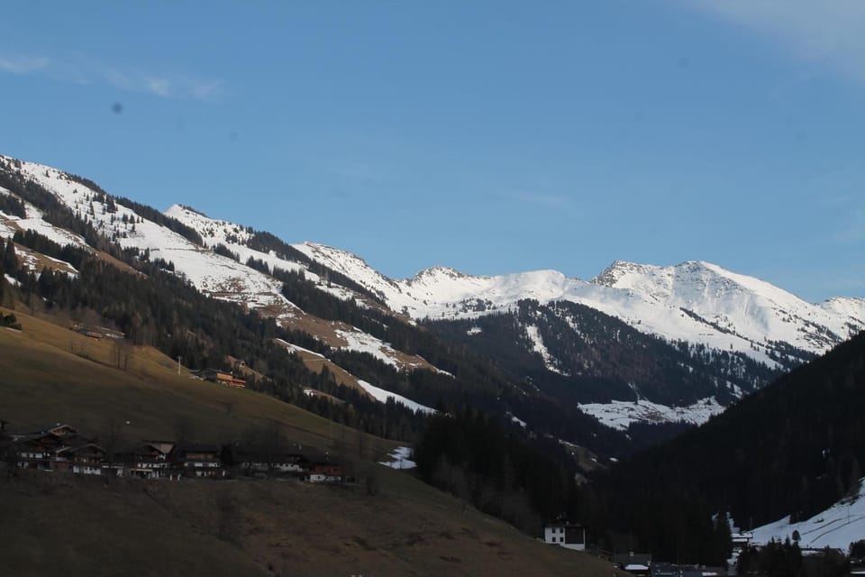 Appartements Innerache Apartment in Alpbach