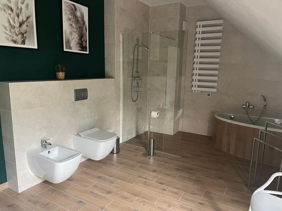 Shower, Toilet, Bathroom, Bath, bidet