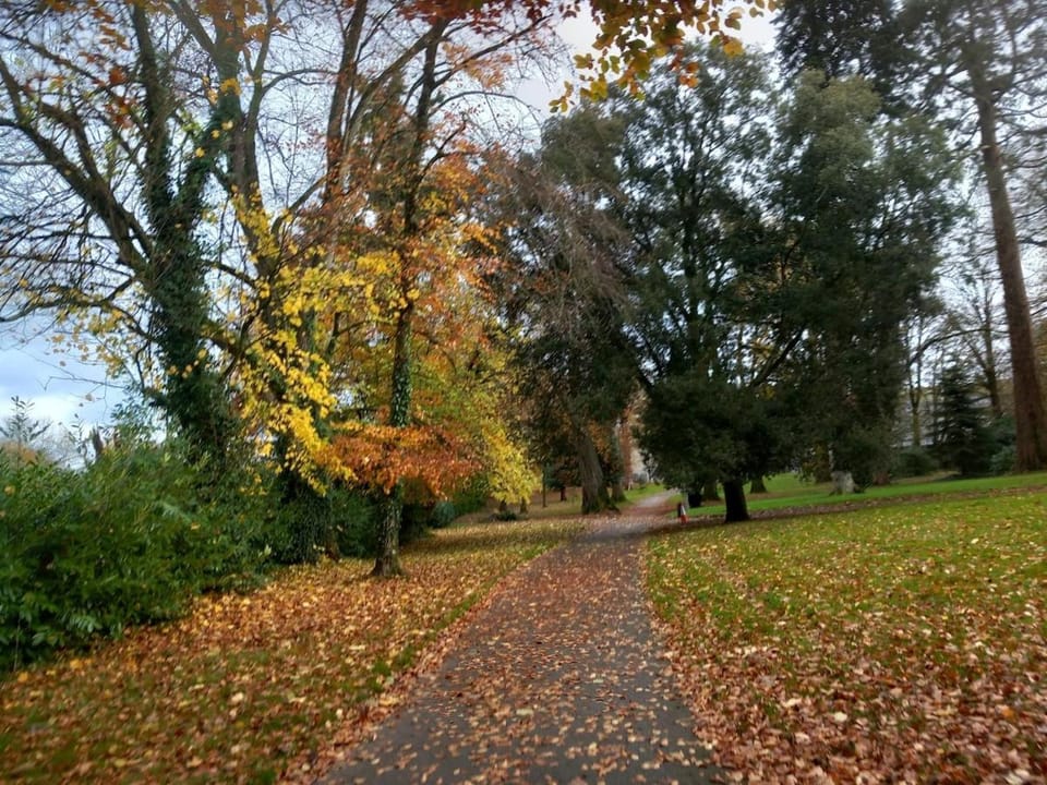 Grove View log house House in County Kilkenny