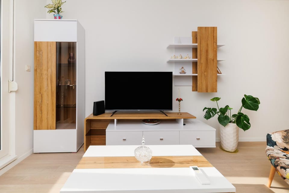 TV and multimedia