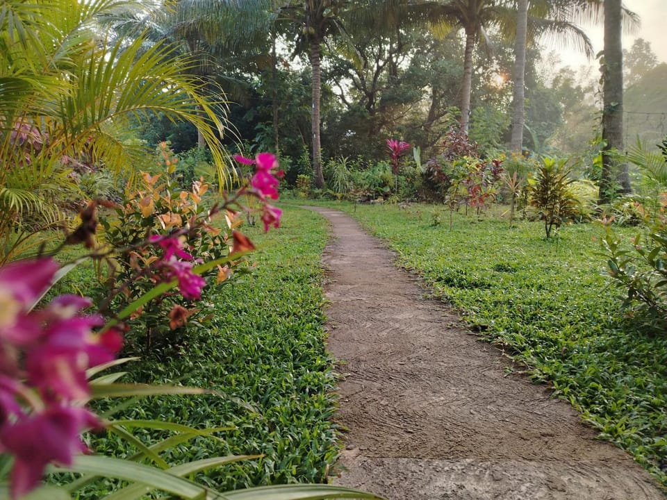 Sigiriya Dreamscape Villa Bed and Breakfast in Dambulla