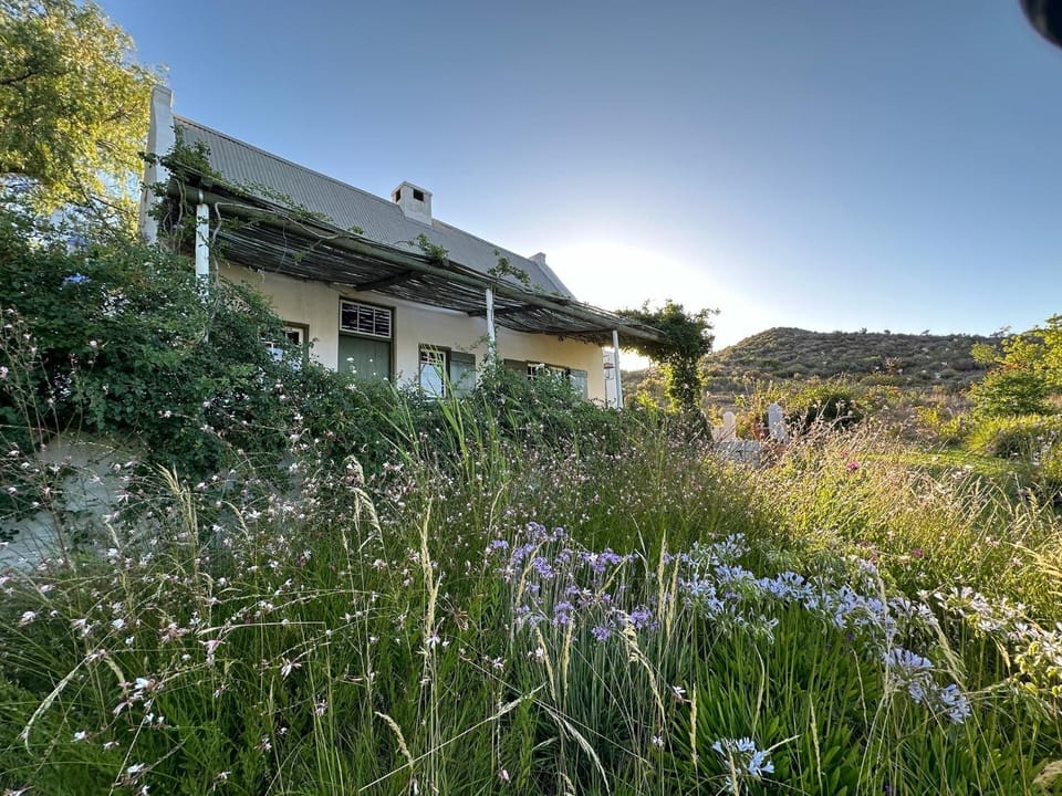 Property building, Natural landscape, Garden