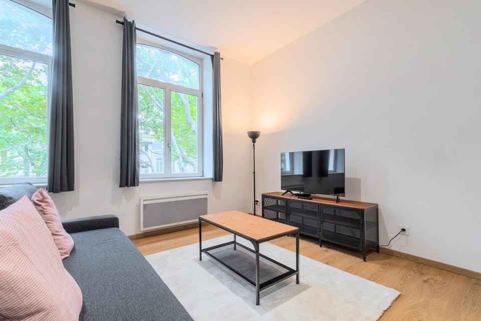 Lille Centre - Appartement Lumineux ! Apartment in Lille