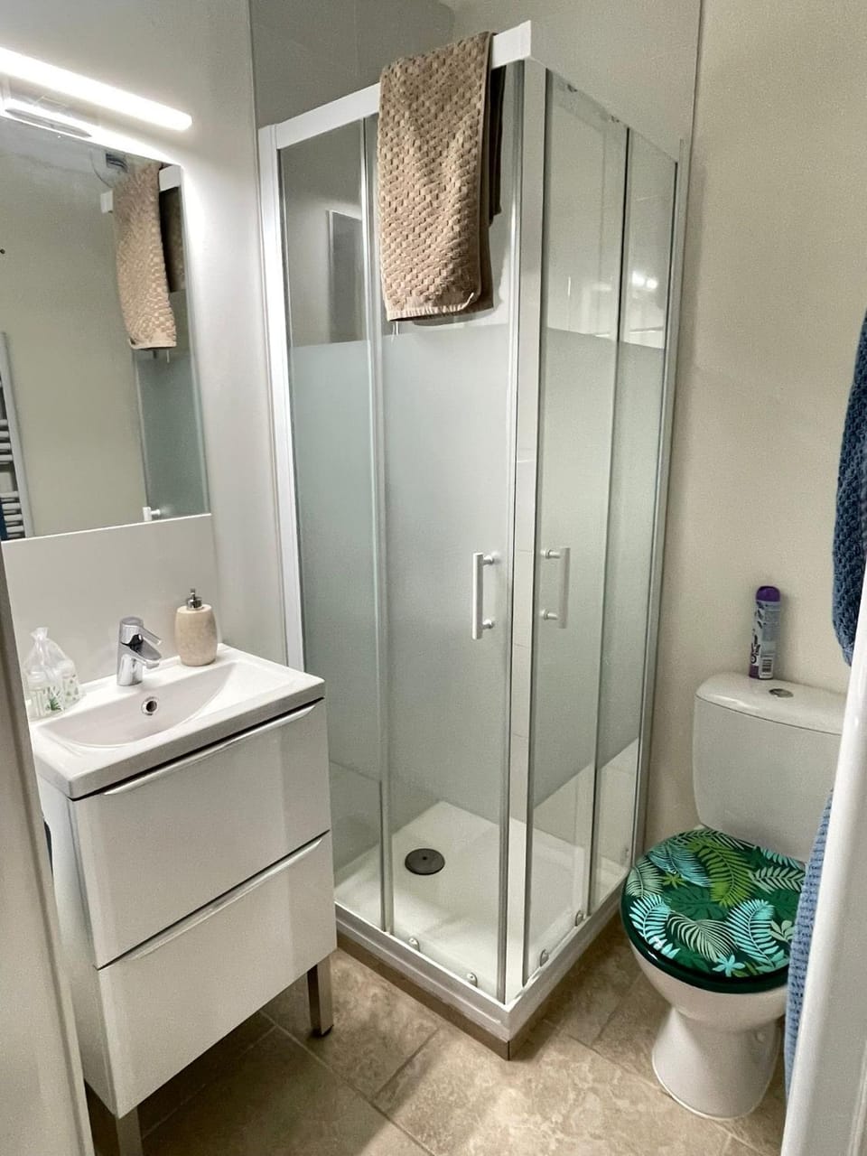 Shower, Toilet