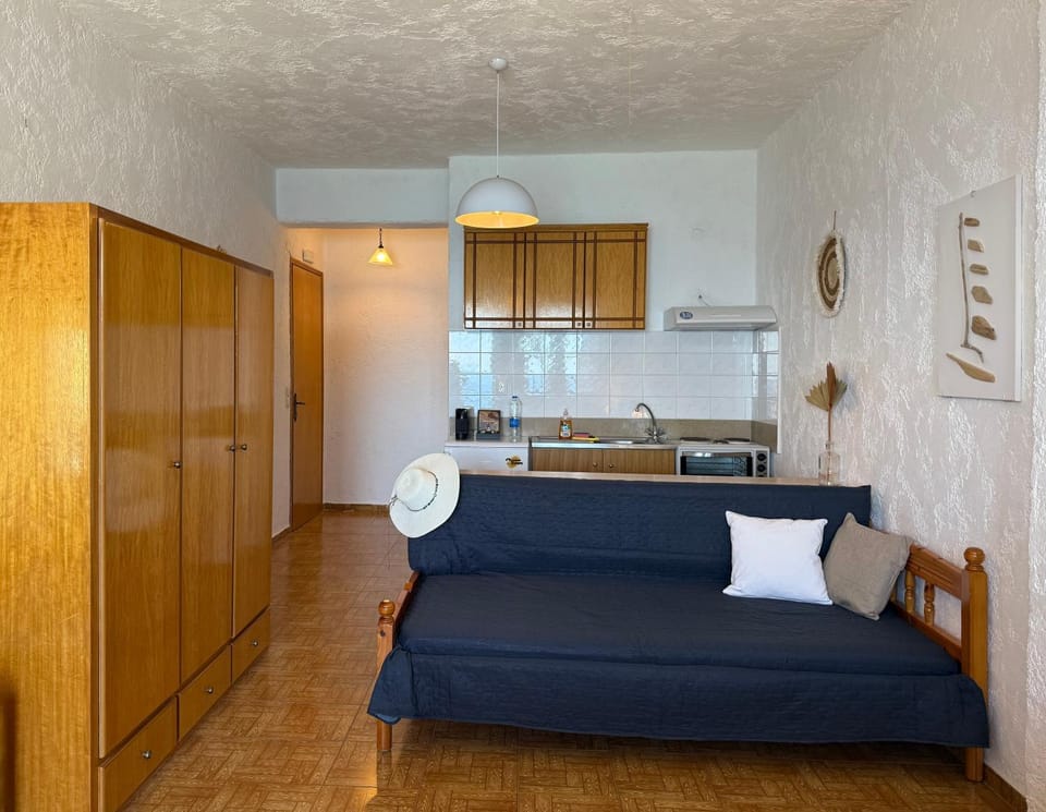 Kitchen or kitchenette, Photo of the whole room, wardrobe