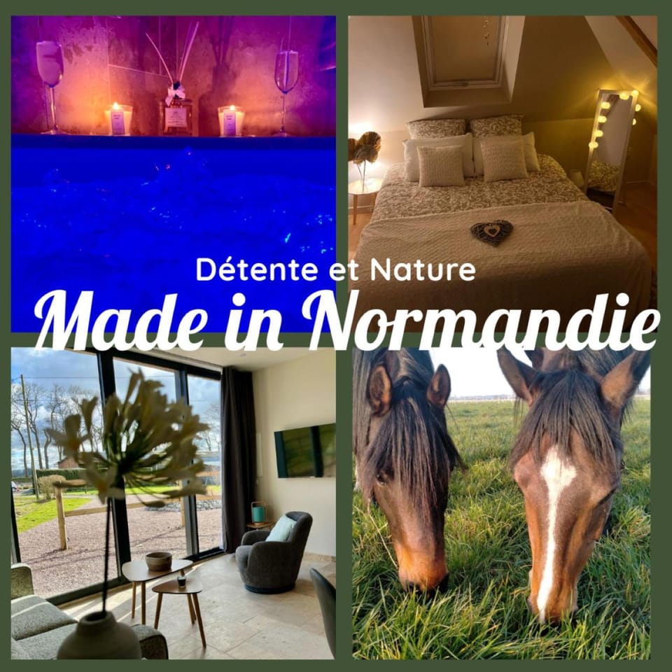 Séjour détente avec balneo - Normandie - Amoureux et famille House in Normandy