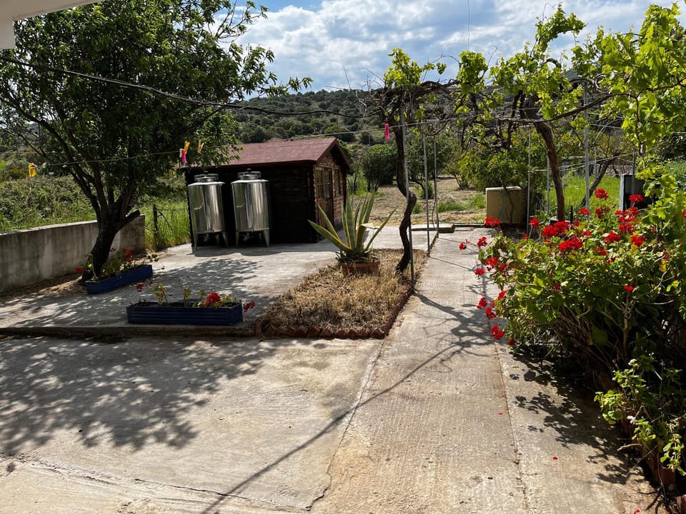 Garden, Garden view, Mountain view, Inner courtyard view