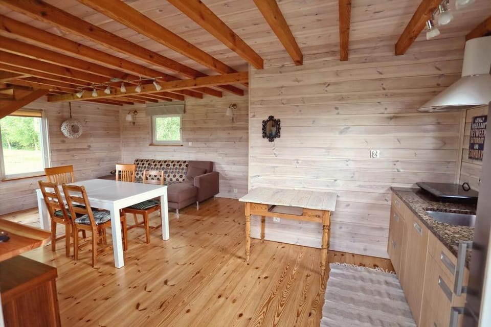 Błękit Żuław House in Pomeranian Voivodeship