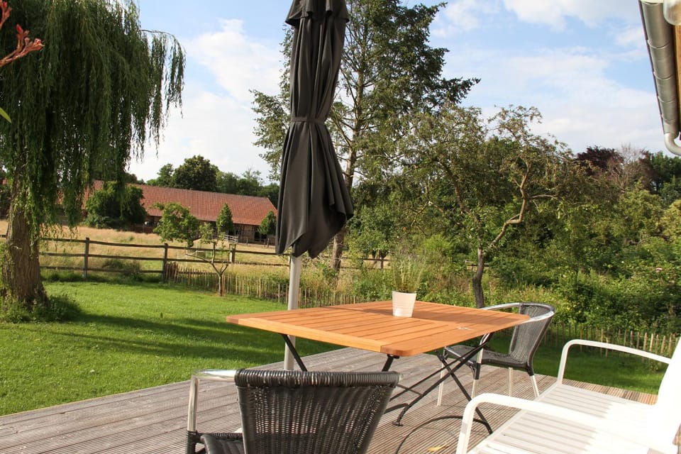 Patio, Garden, Garden view