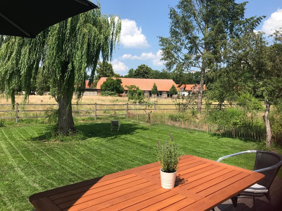 Garden, Garden view