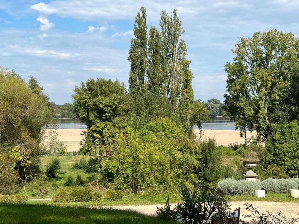 Natural landscape, Garden, River view