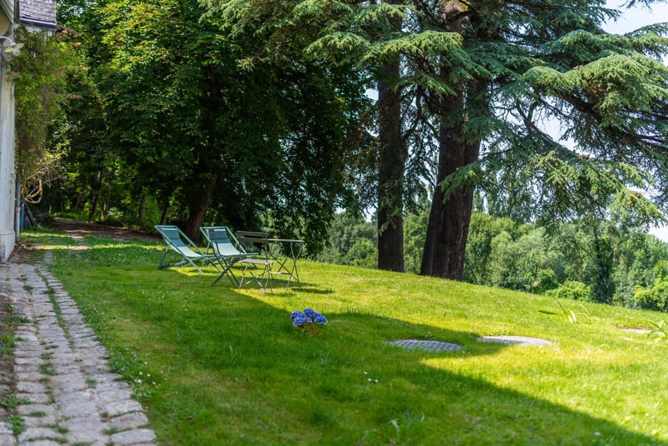 Garden, Garden view, sunbed