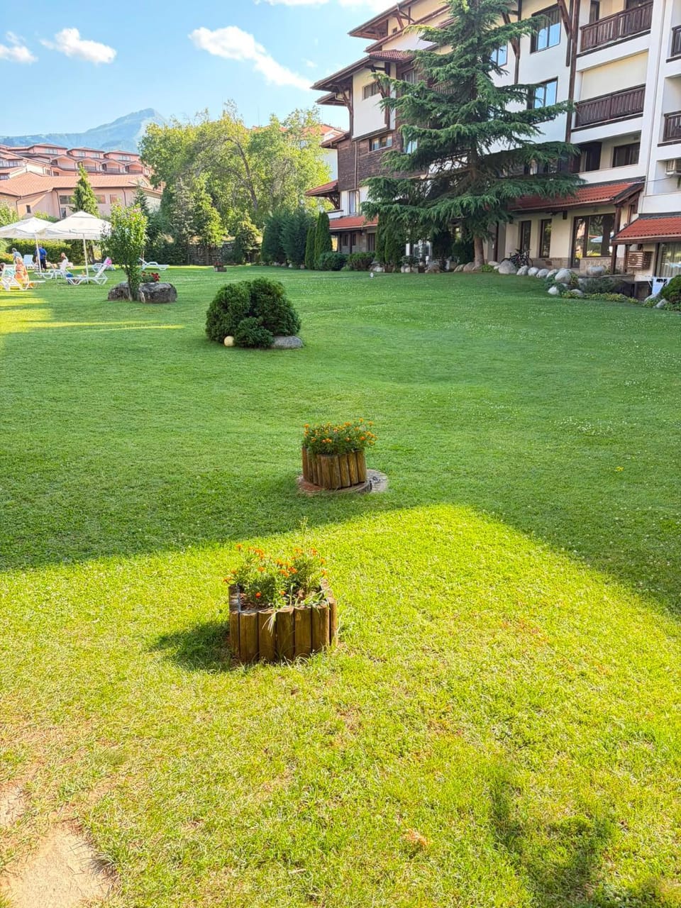 Eleonor Mountain Studio Apartment in Bansko