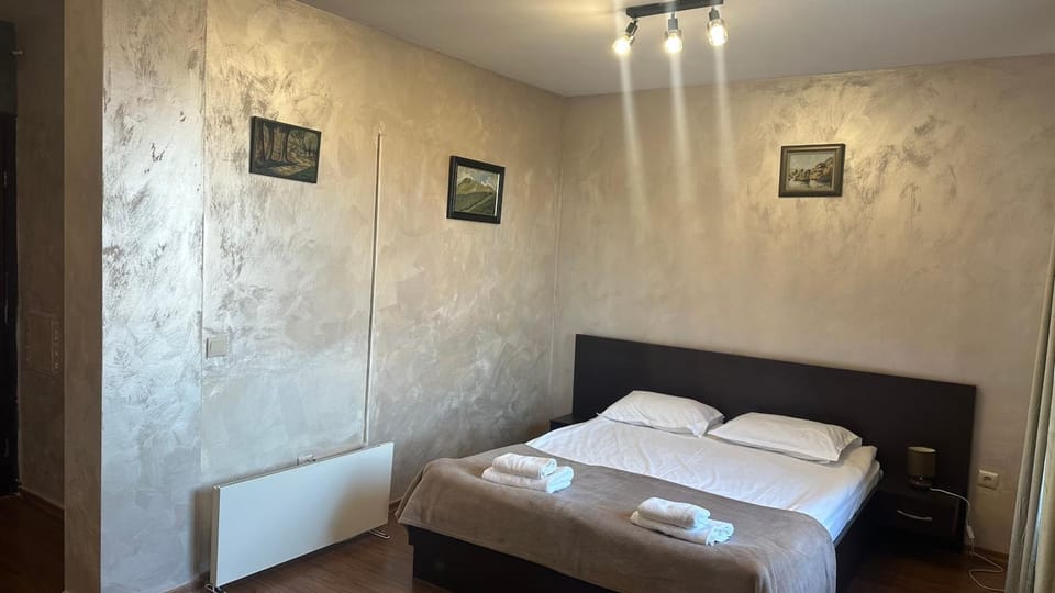 Eleonor Mountain Studio Apartment in Bansko