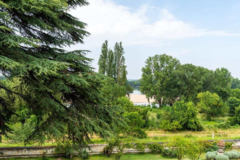 Nearby landmark, Natural landscape, Garden, Garden view, River view