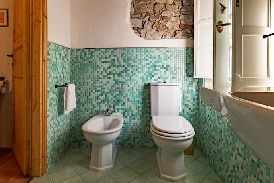 Toilet, Bathroom, bidet