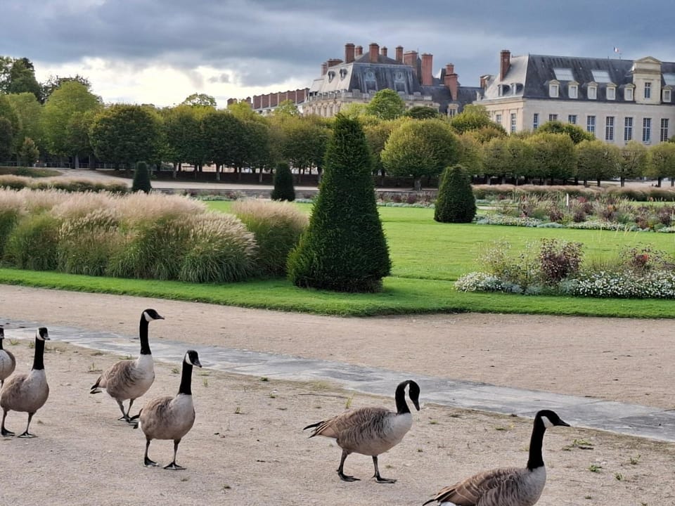 Duplex en centre-ville Apartment in Fontainebleau