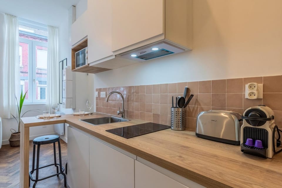 Grand studio fonctionnel et entièrement rénové Apartment in Hauts-de-France