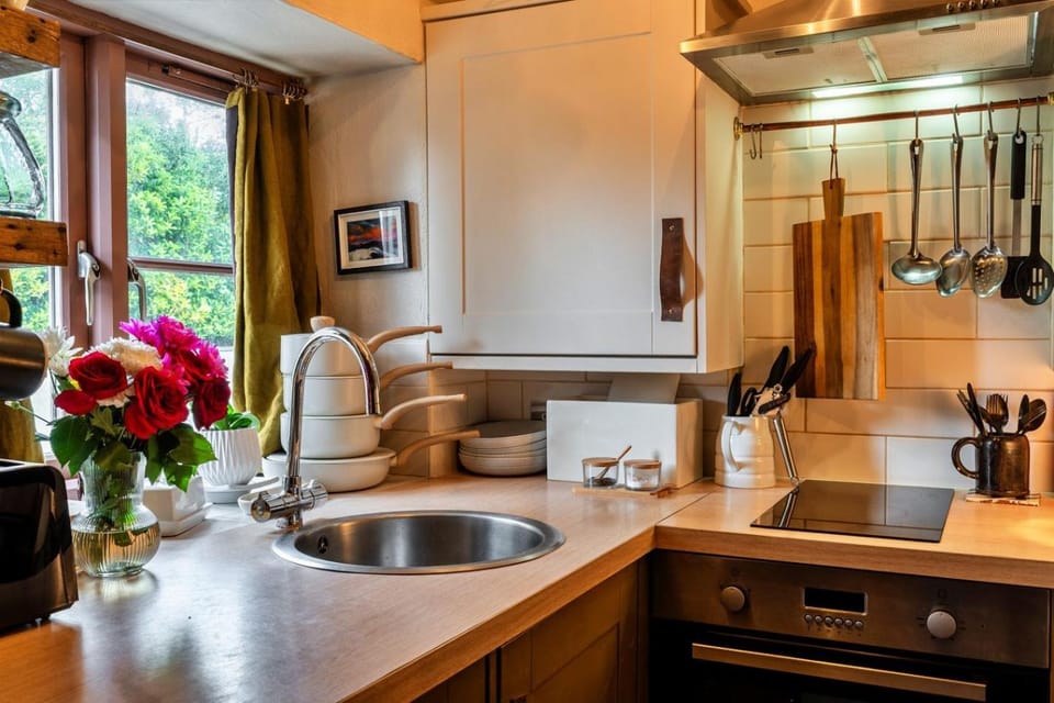 Kitchen or kitchenette, pet friendly