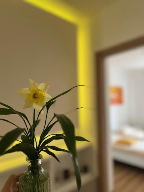 Enjoy Lingotto - FIERE- METROPOLITANA- OSPEDALI CTO-REGINA MARG,MUSEO Apartment in Turin