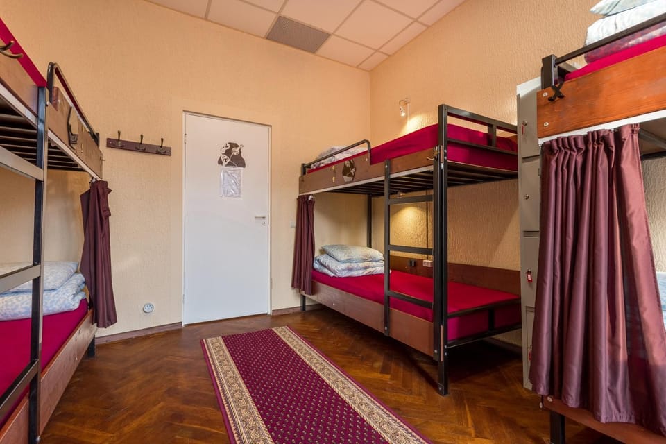 Bed, Photo of the whole room, Bedroom, bunk bed
