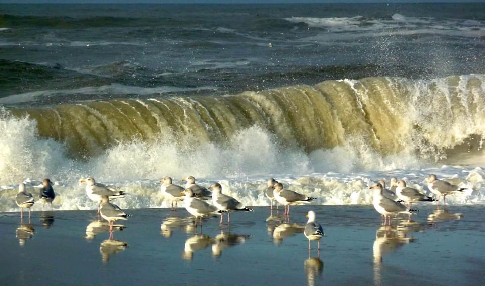 Haus Krüger Apartment in Nordfriesland
