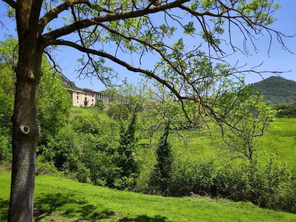 Spring, Day, Natural landscape, Garden, Garden view, Mountain view
