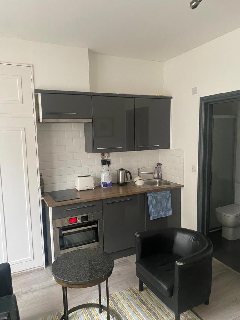 Comfortable studio west London Apartment in London