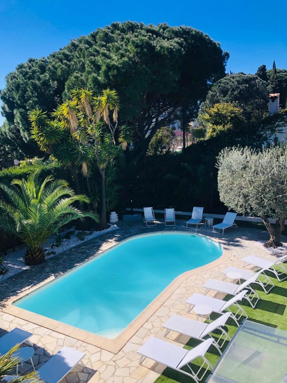 Natural landscape, Garden, Garden view, Pool view, Swimming pool, sunbed