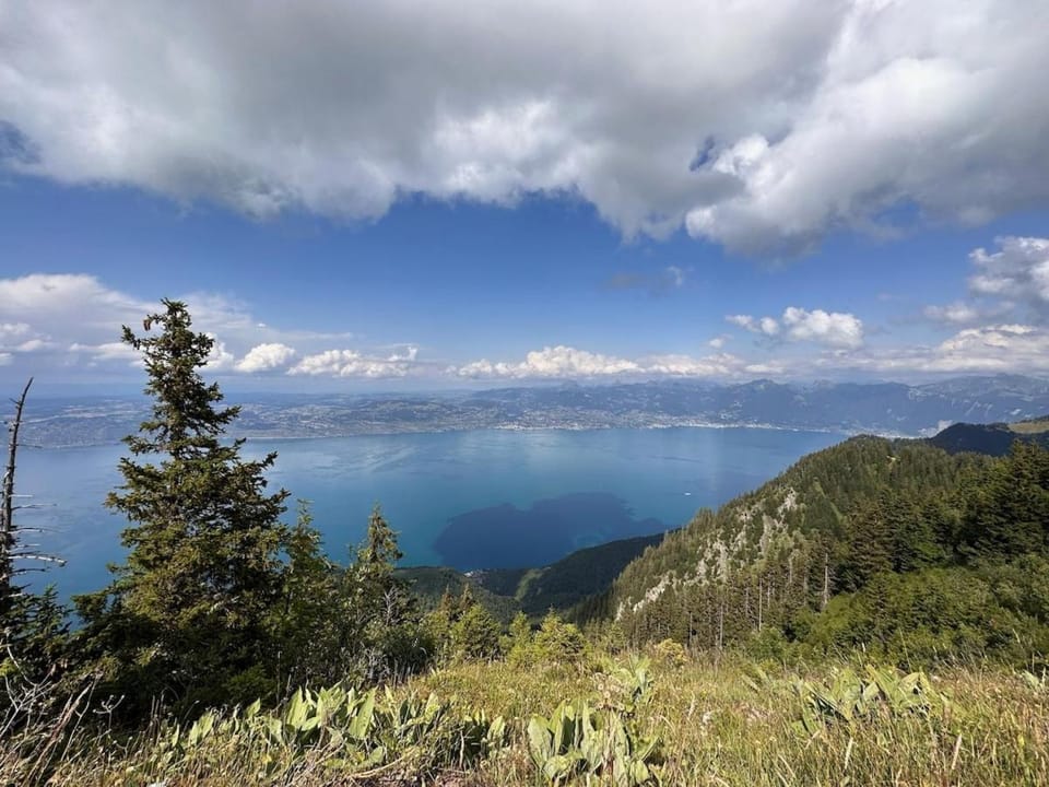 Lake view