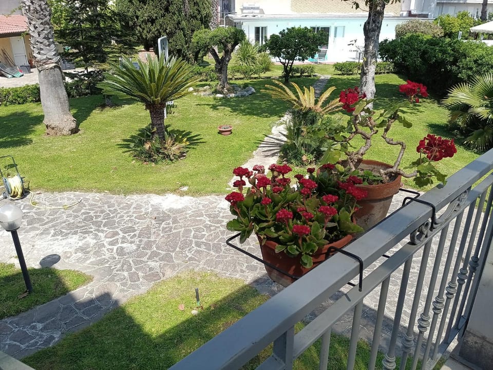Garden, Garden view