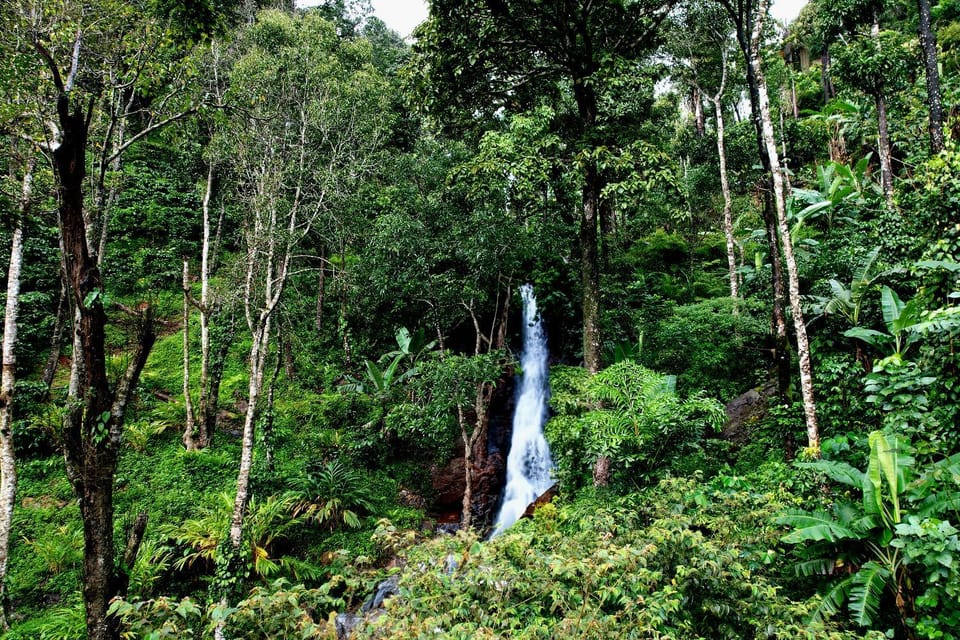 Nearby landmark, Spring, Natural landscape