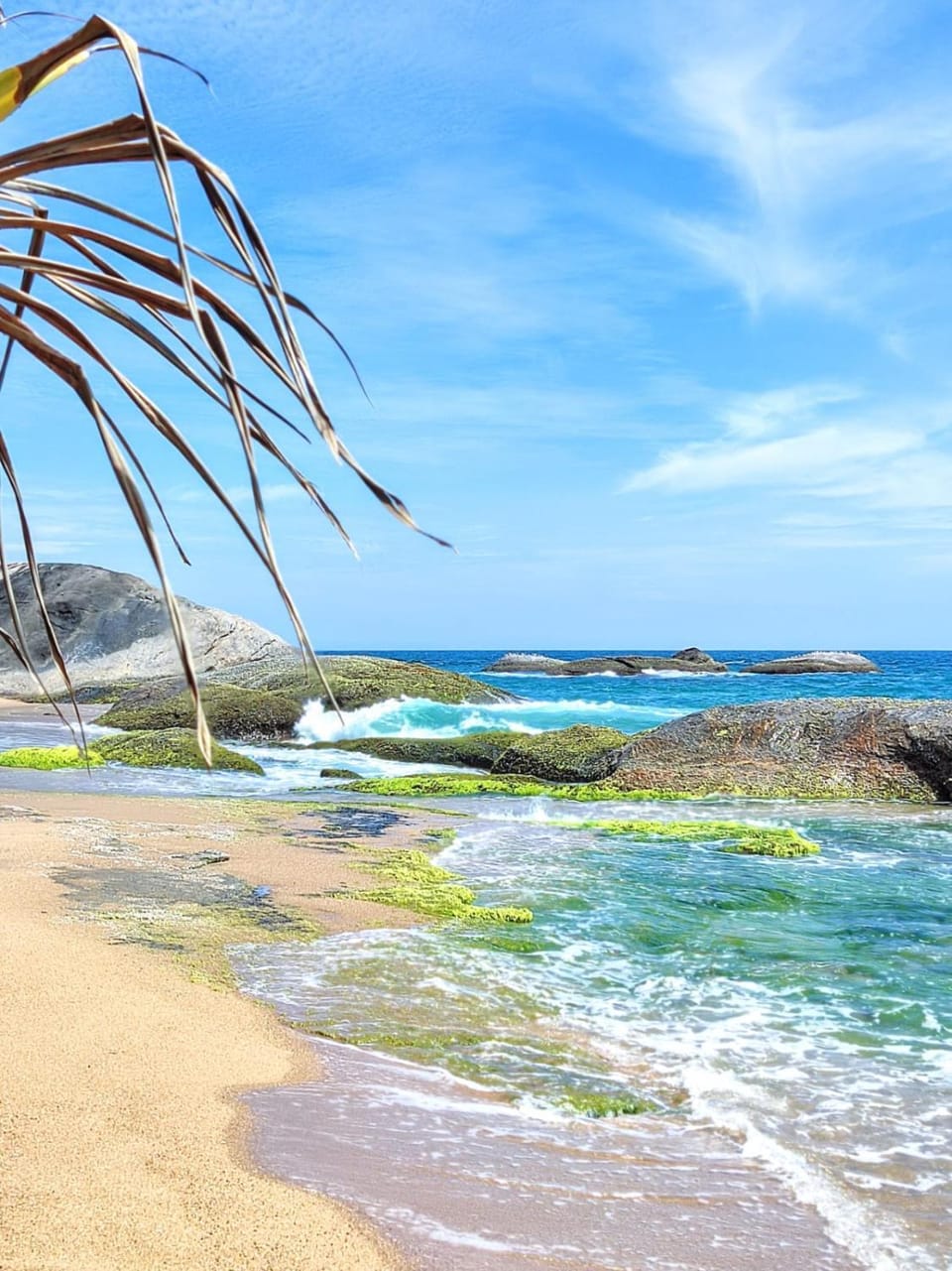 Natural landscape, Beach