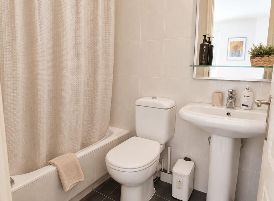 Toilet, Bathroom, Bath