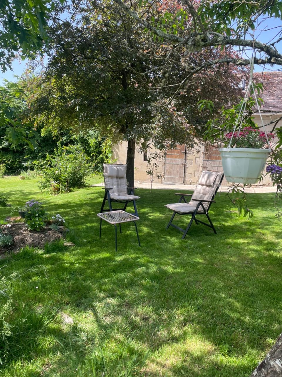 Garden, sunbed